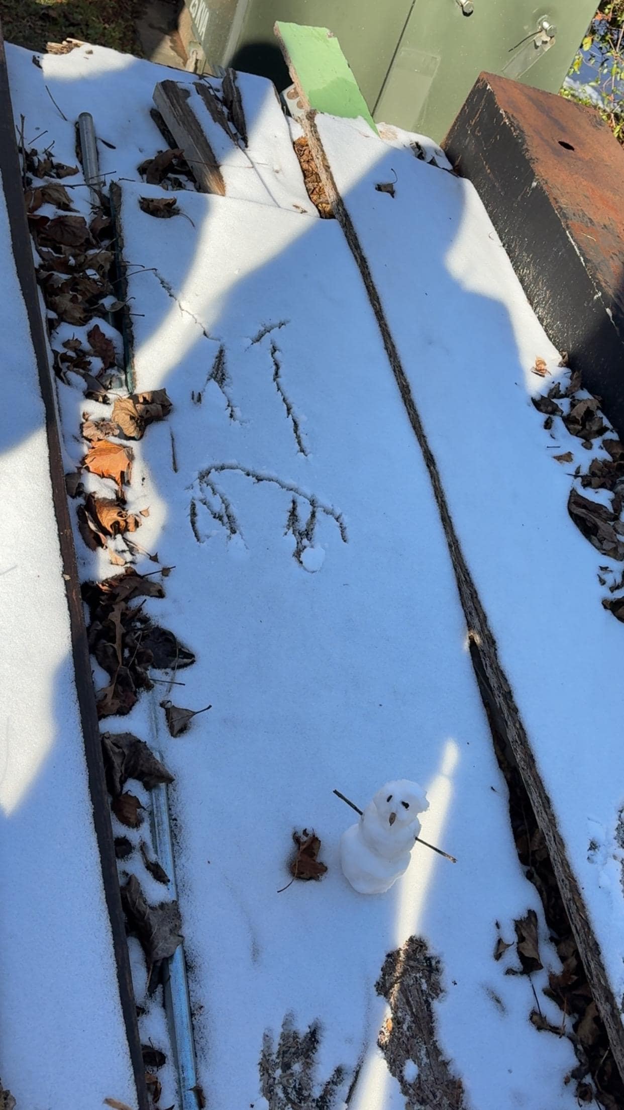 A little snow man my daughters made. 