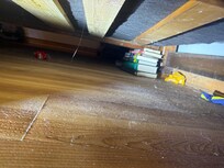 Books holding up the bed downstairs!