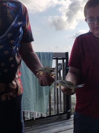 Caught a few blue crabs in crab nets. All were too small to keep. (Pickup crab nets and bait before you arrive.)