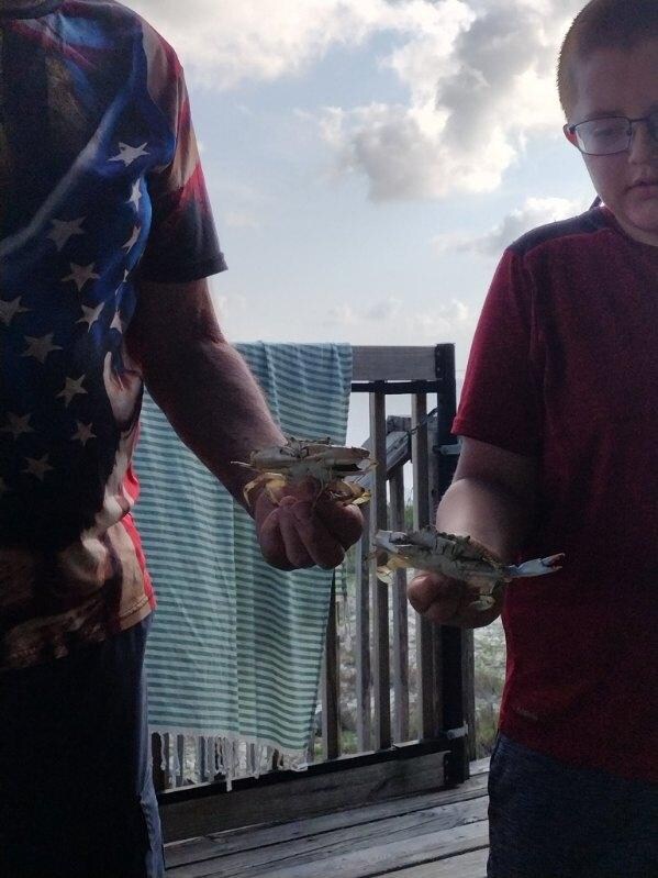 Caught a few blue crabs in crab nets.  All were too small to keep.  (Pickup crab nets and bait before you arrive.)