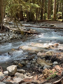Trail in North Cascades