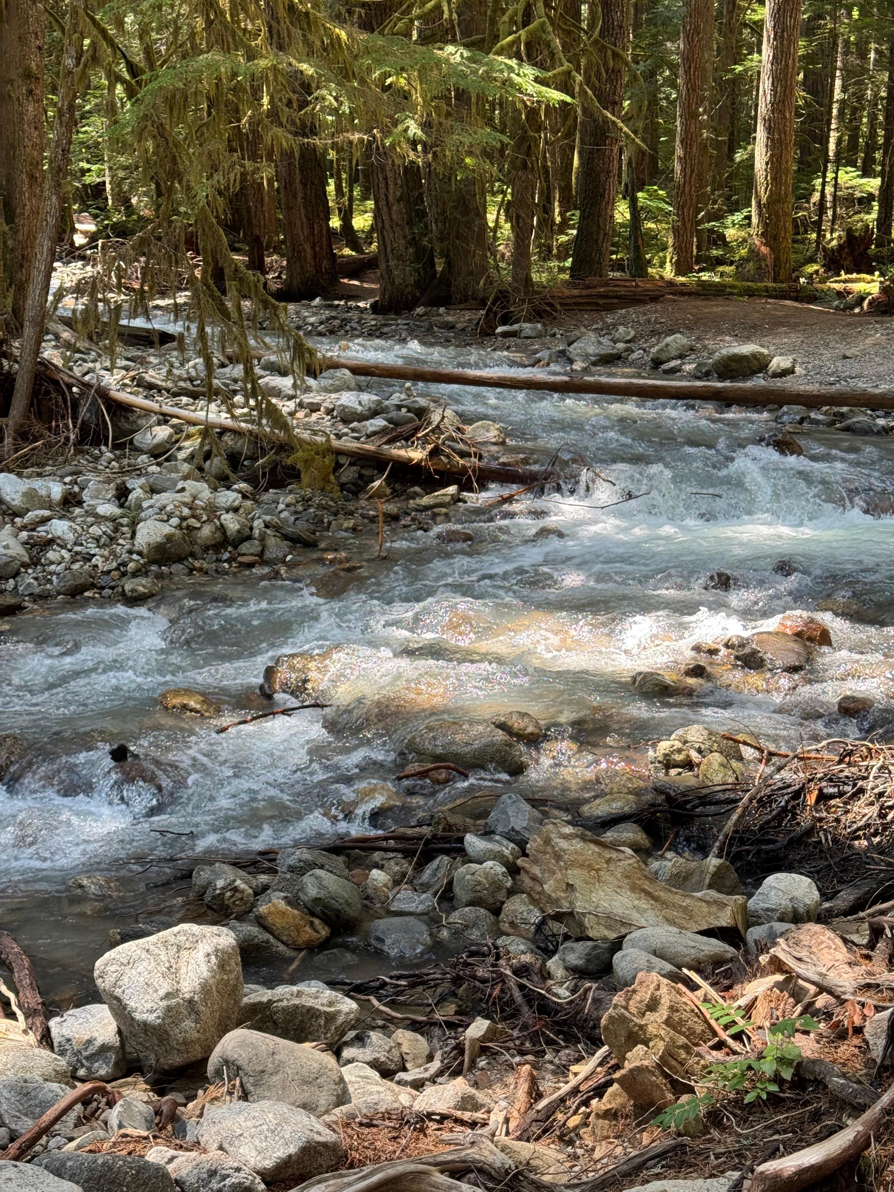 Trail in North Cascades