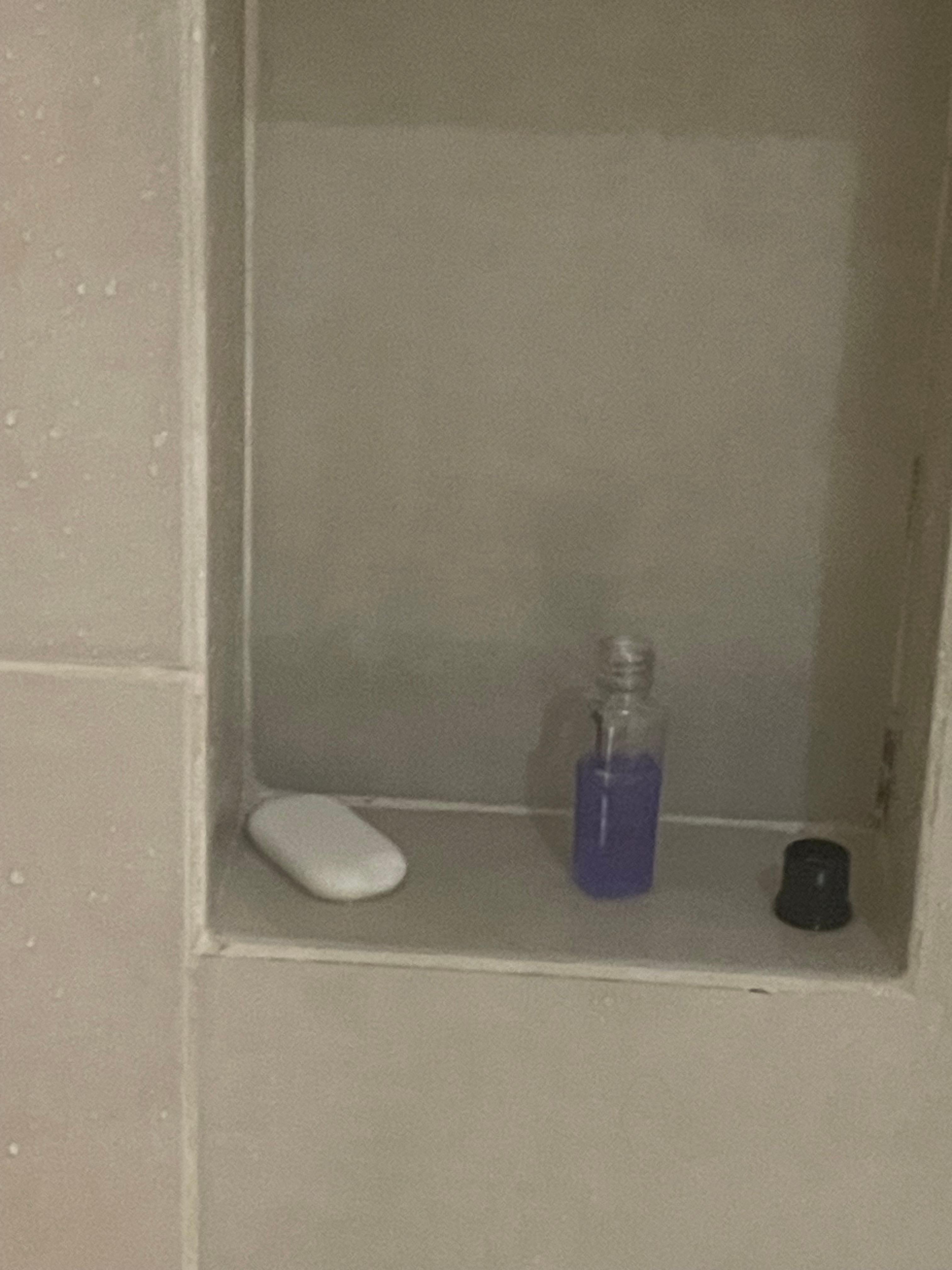 Solo un había de baño y un pequeño envase de shampoo.
