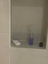 Solo un había de baño y un pequeño envase de shampoo.