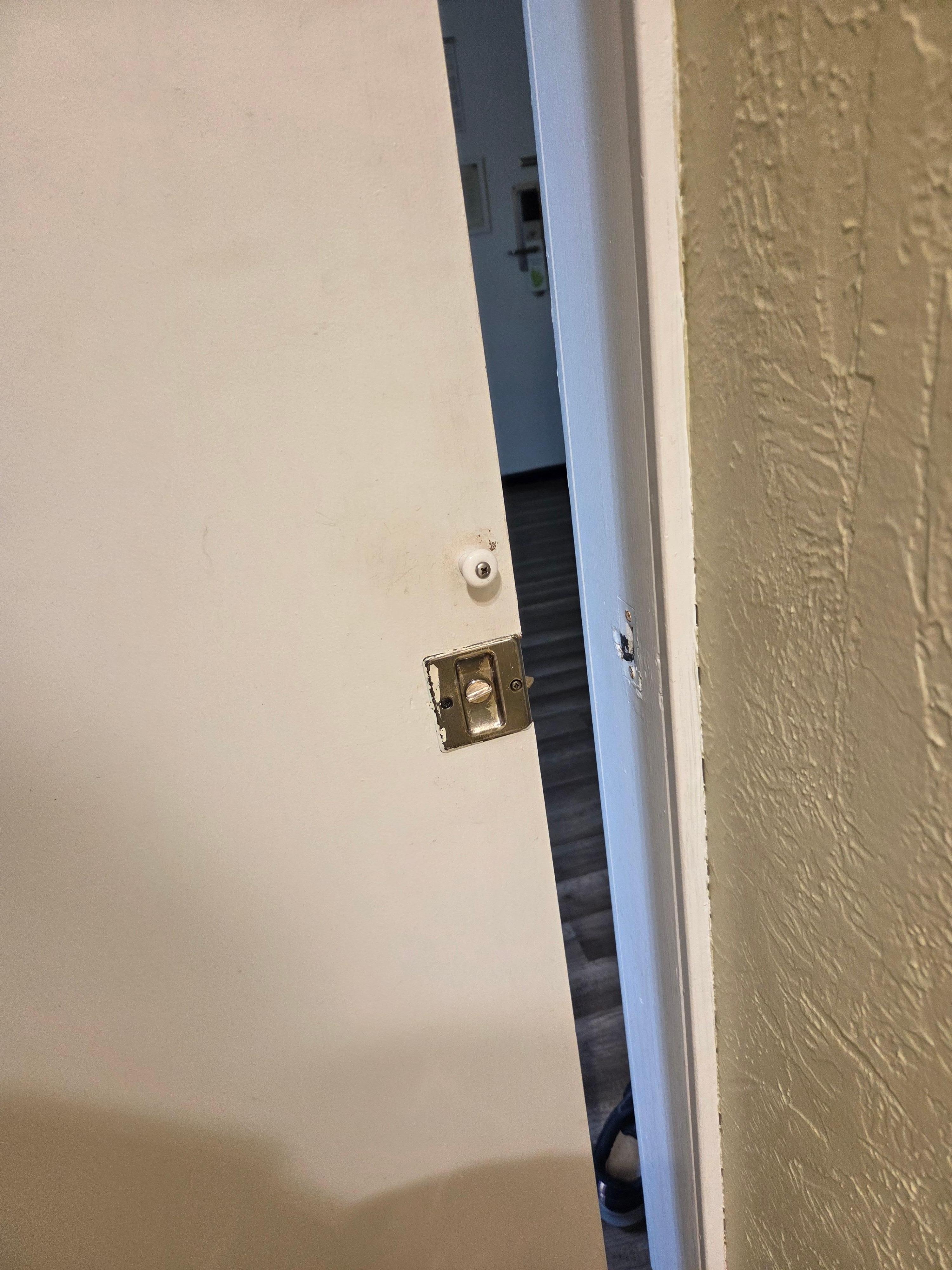 Door to the bathroom...unbelievable!