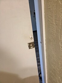 Door to the bathroom...unbelievable!