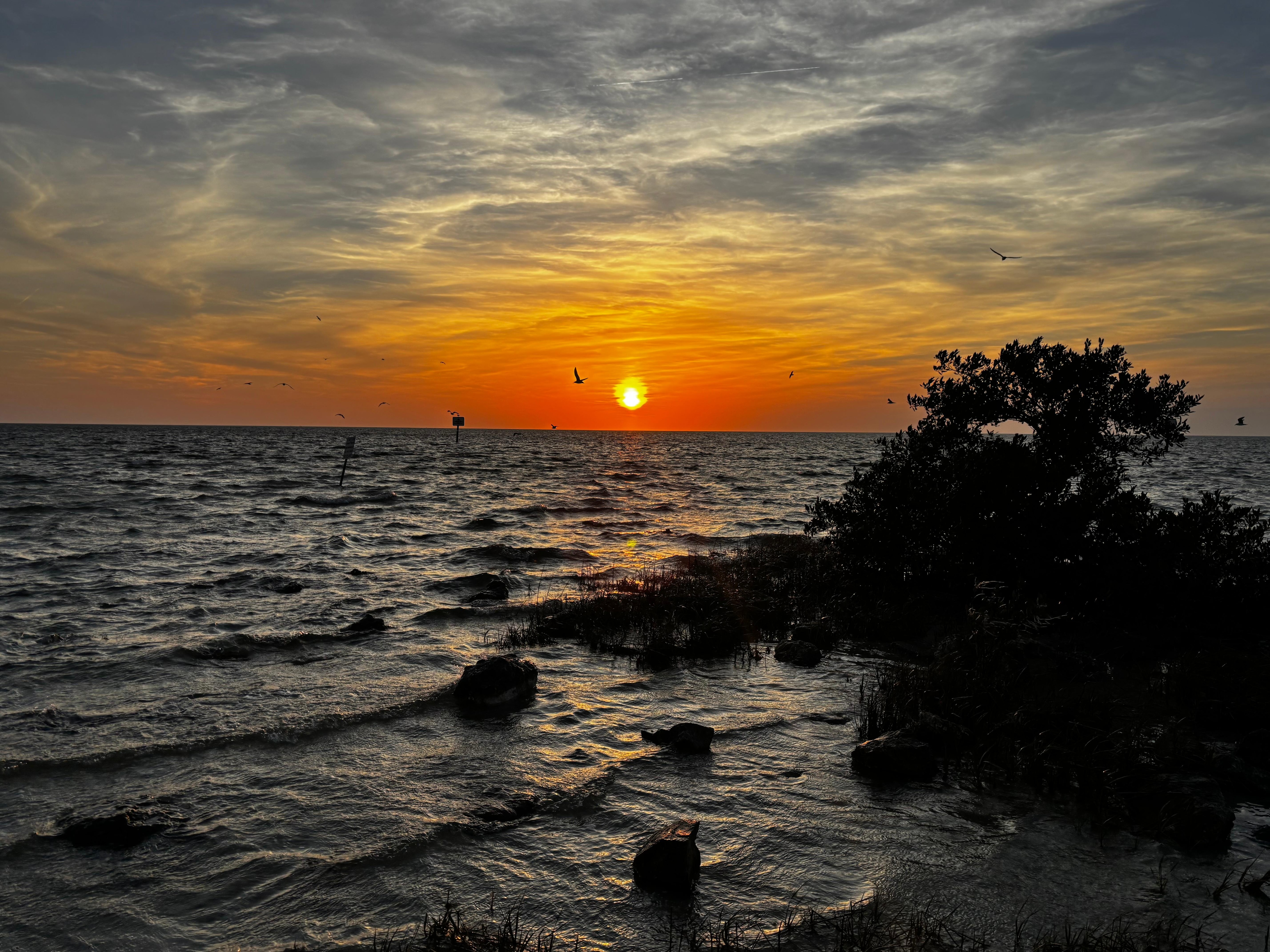 Sunset at Alfred McKethan Park, a short walk down the road. 