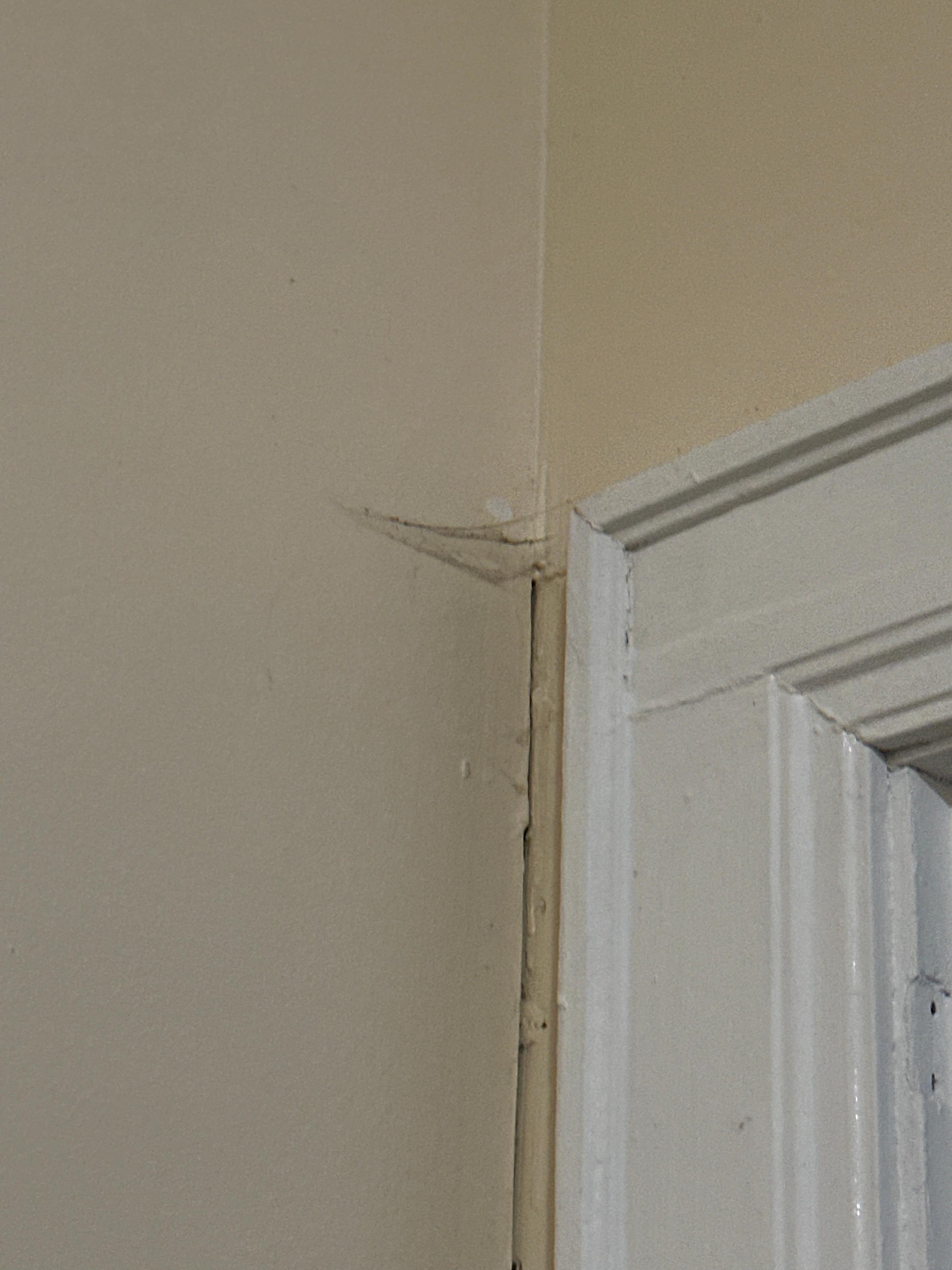 One of MANY cobwebs. 