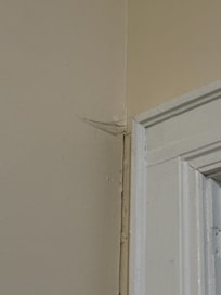 One of MANY cobwebs.