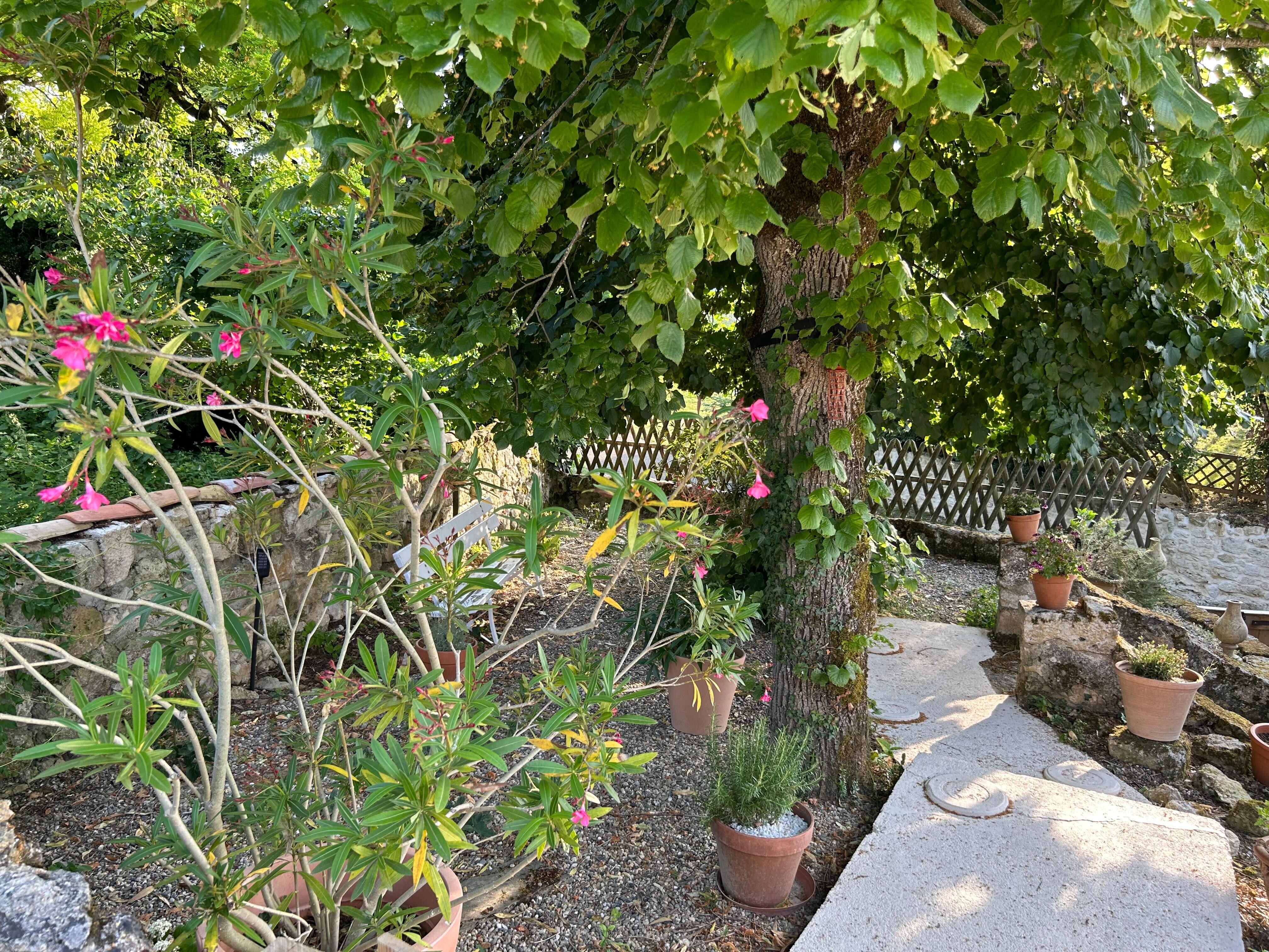 Side garden
