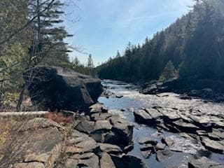 Ouareau Forest Regional Park