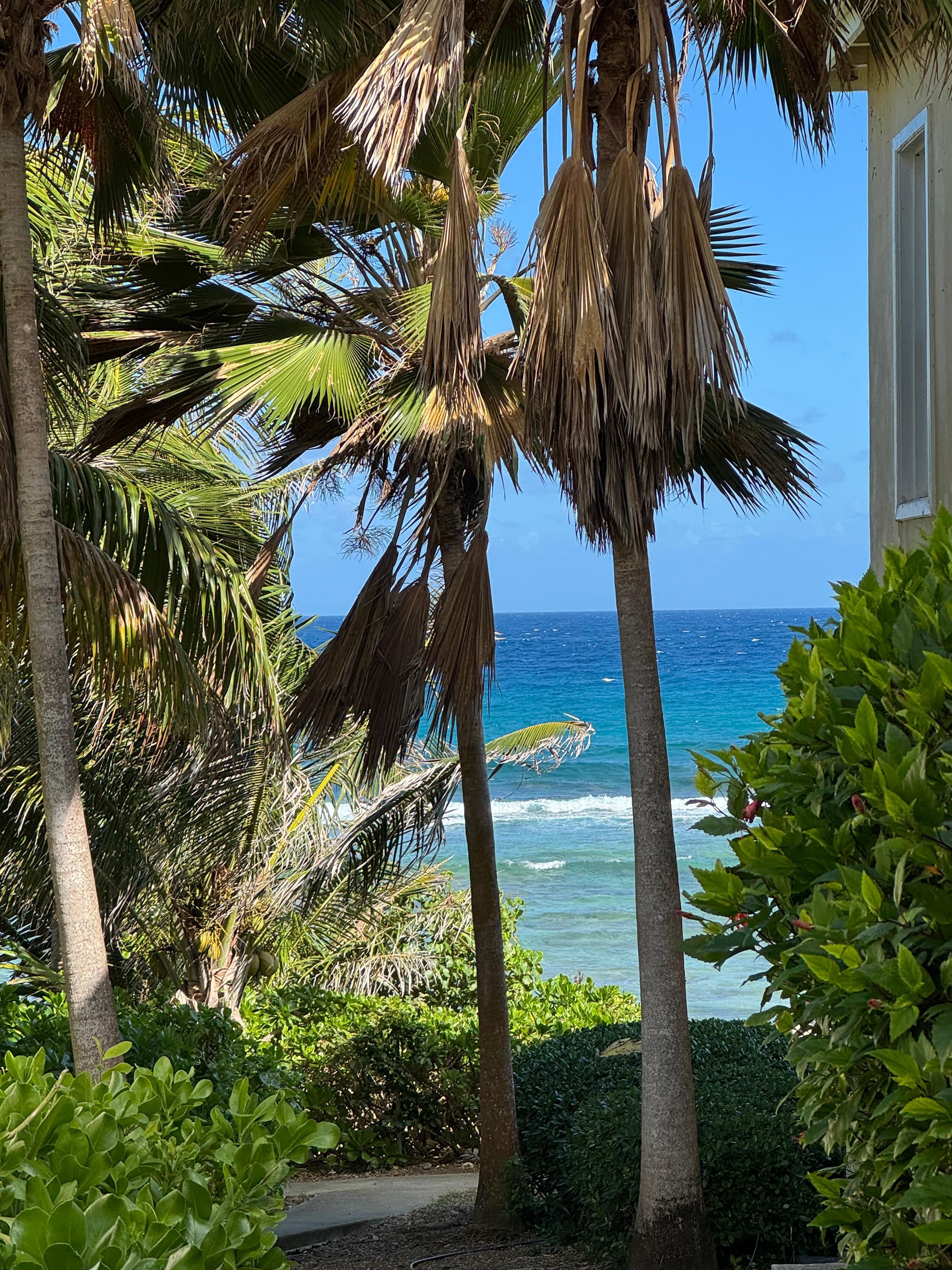 The path from the garage area to the beach gave a glimpse of the Caribbean. 