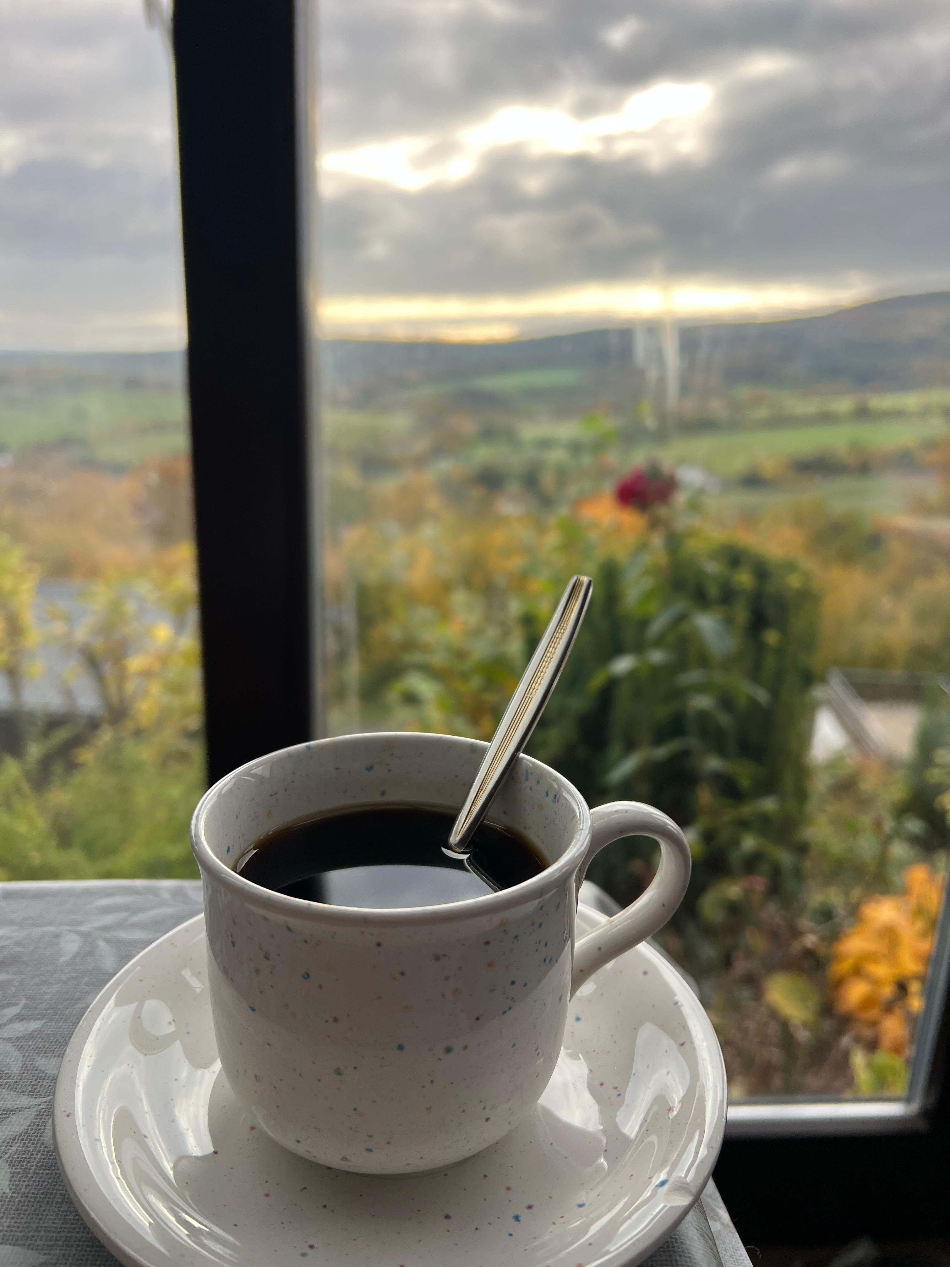 Blick aus dem Wintergarten 