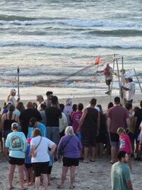 A tiny portion of all the people gathered to watch the turtle hatchlings make their way into the water!