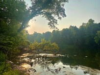 View down by the river.
