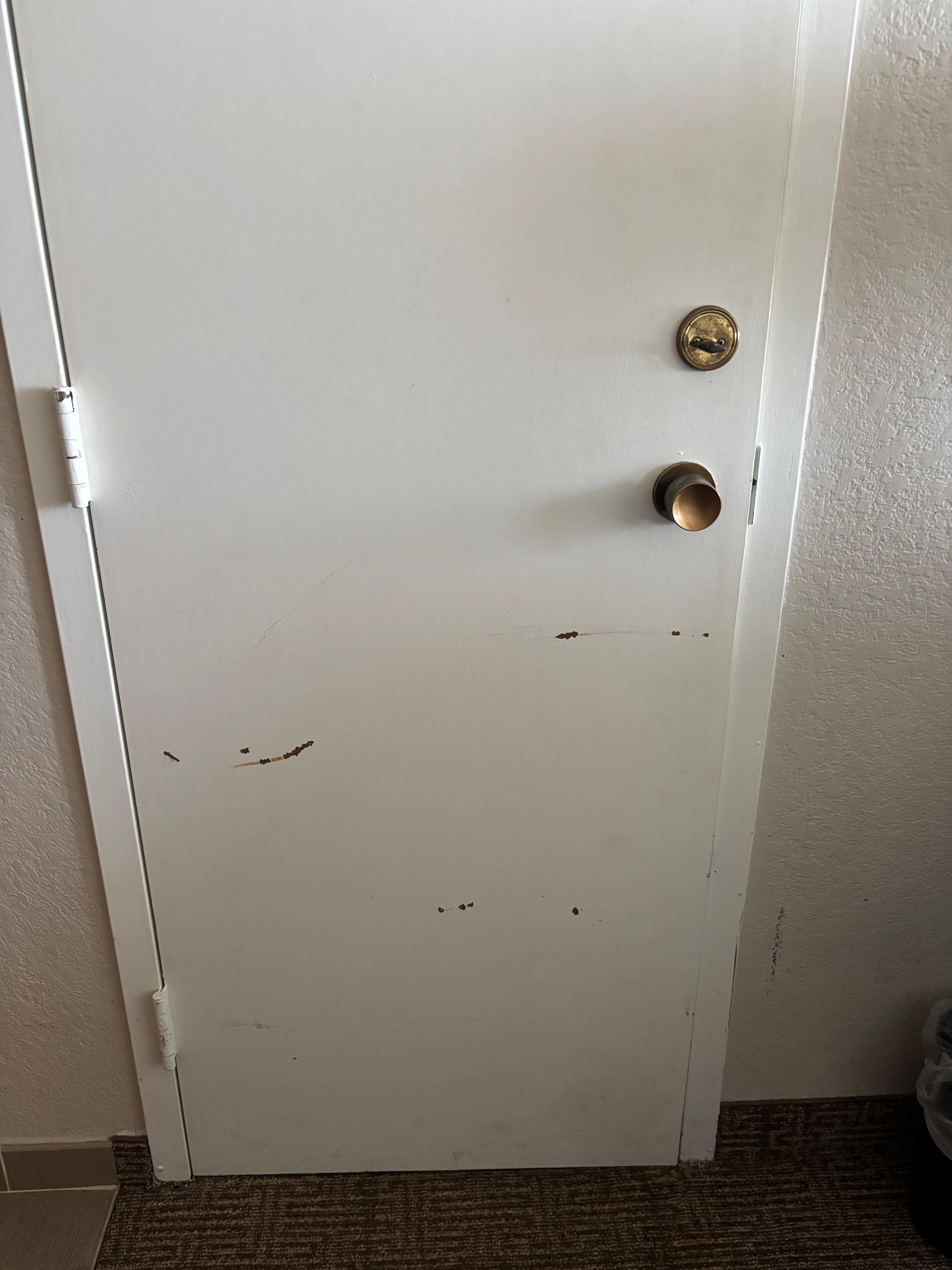 Door would not stay closed 