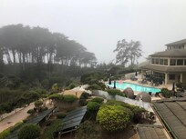 The Fog...
