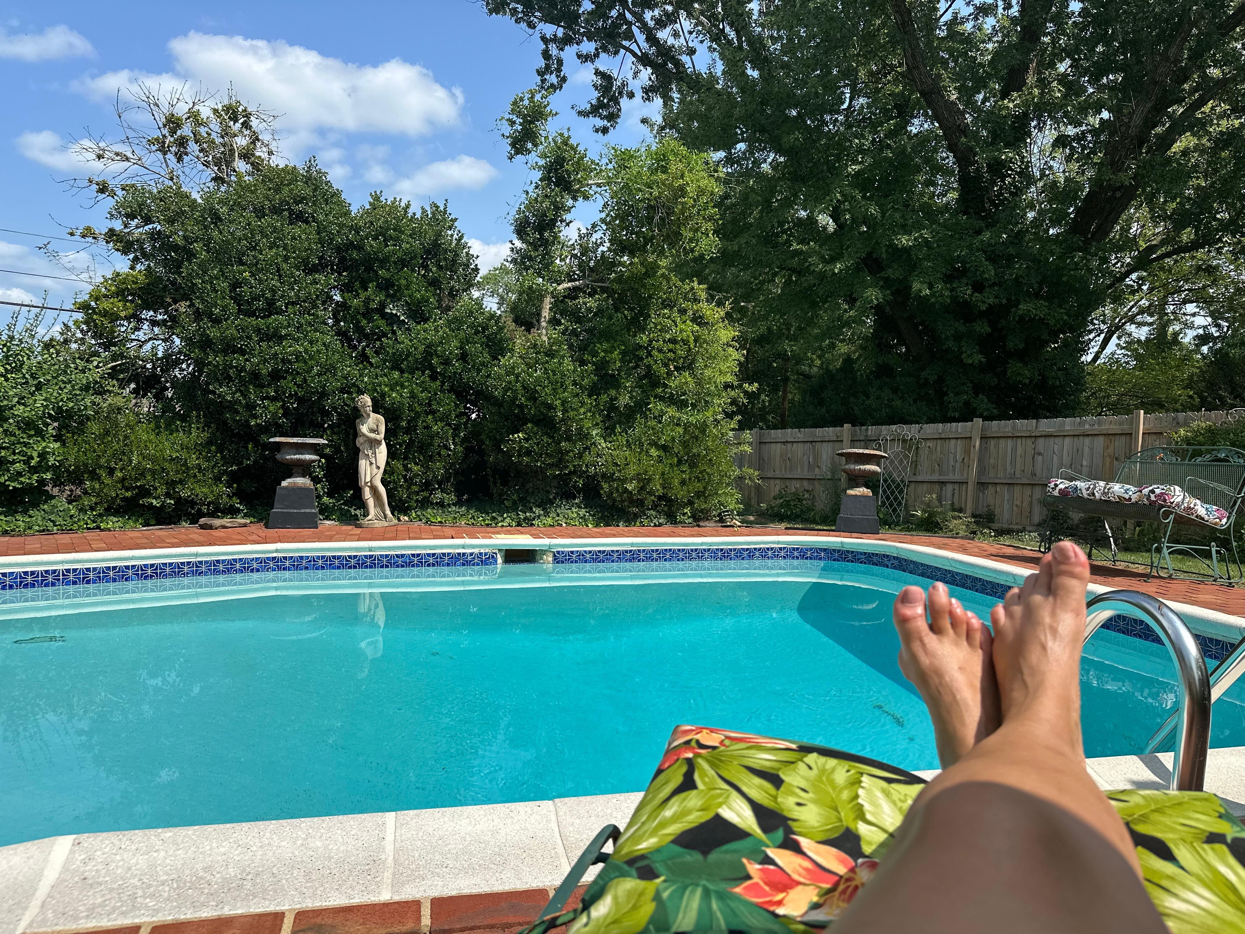 Lovely pool and gardens
