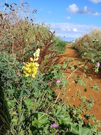 North Norfolk Coastal Path