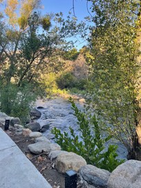 View from deck