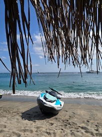 The local beach.