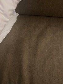 Stain on couch cushion