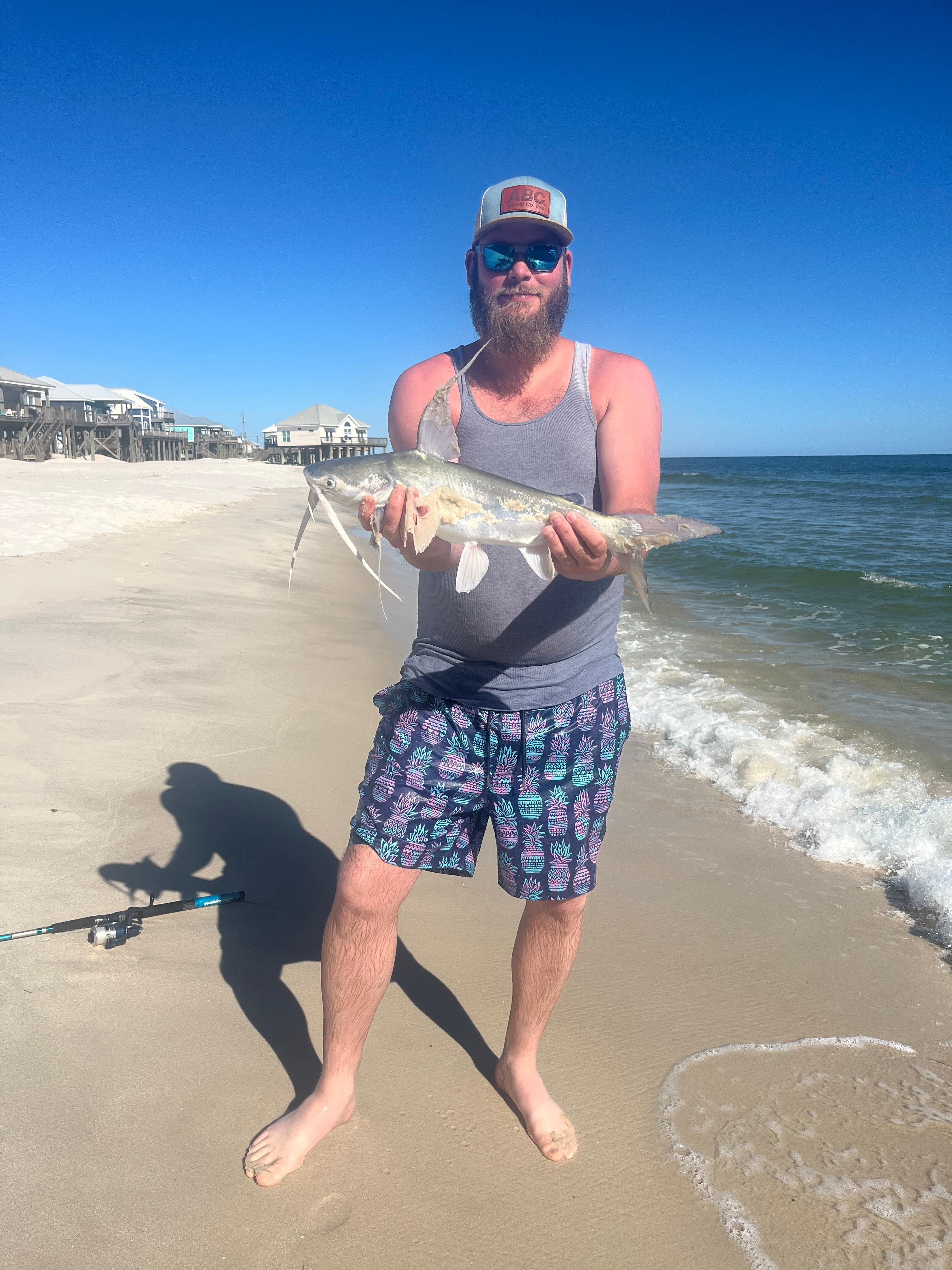 Some of the fish we caught