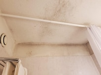 Mold and mildew in the bathroom