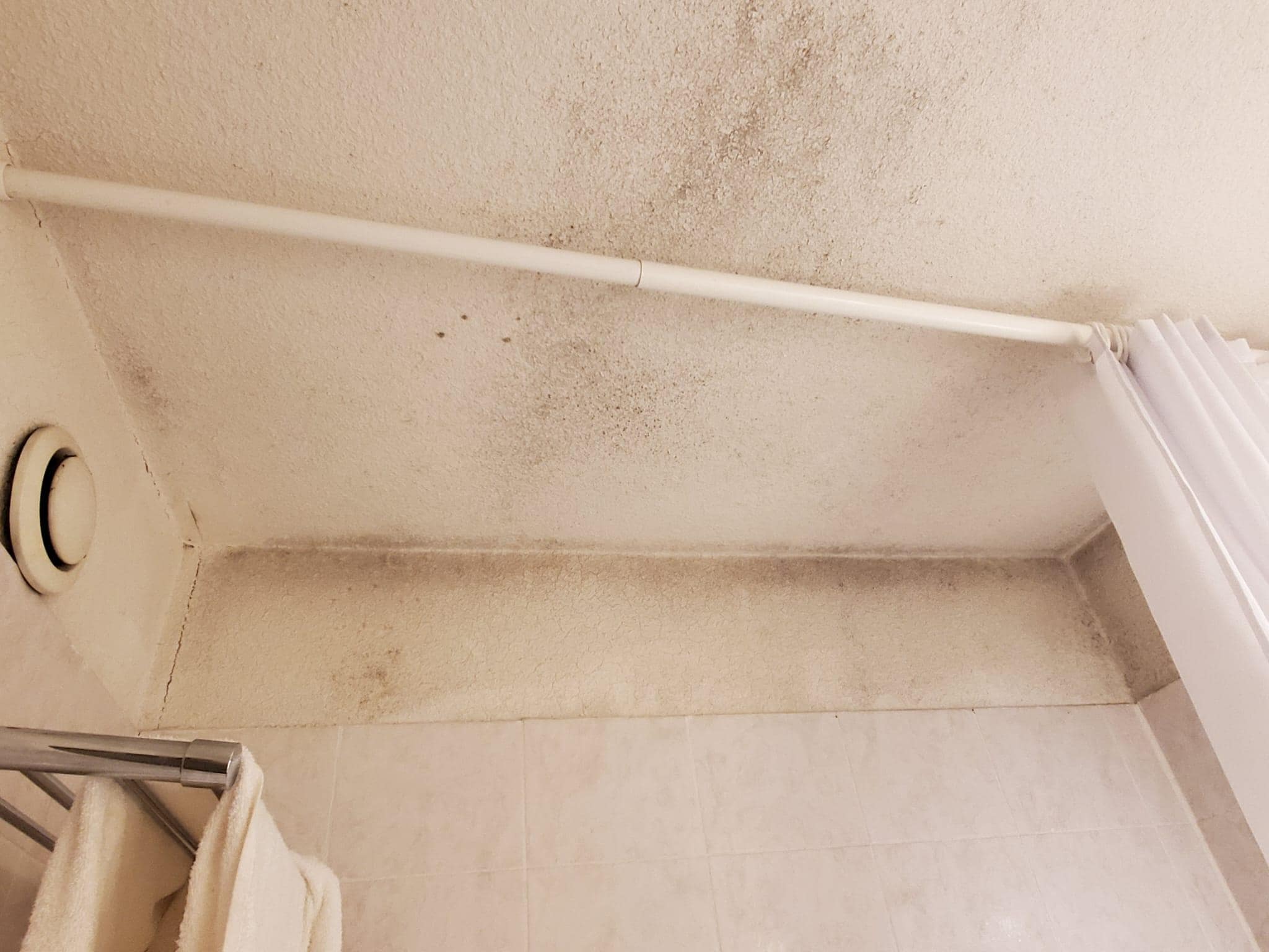 Mold and mildew in the bathroom