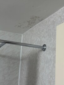 Black mould on the ceiling in all the bathrooms