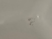 Mold in the tub