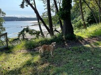 View from bottom of property.