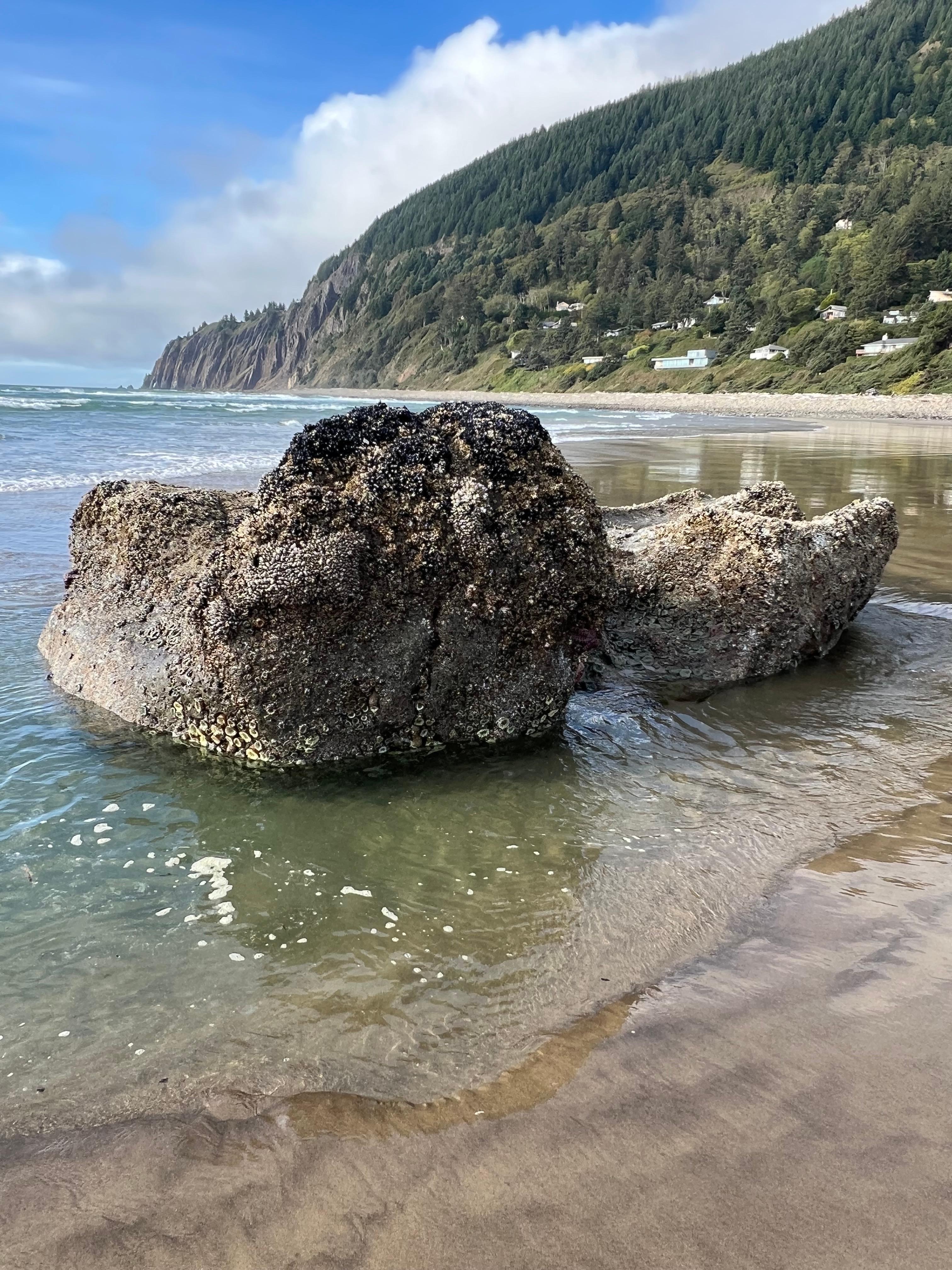 Low tide rock beach VRBO