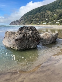 Low tide rock beach VRBO