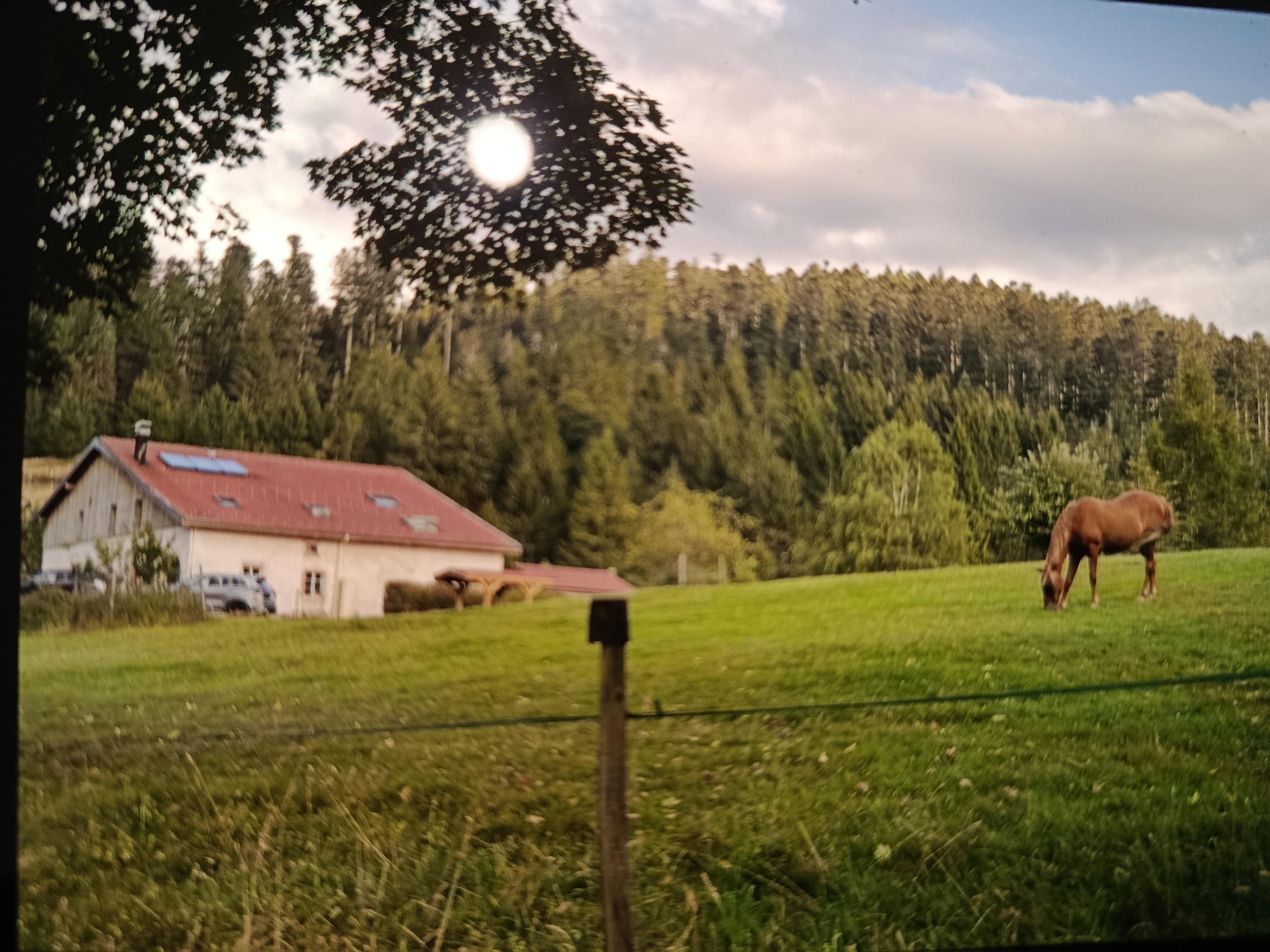 Photo prise sur le chemin a côté du logement 