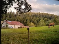Photo prise sur le chemin a côté du logement
