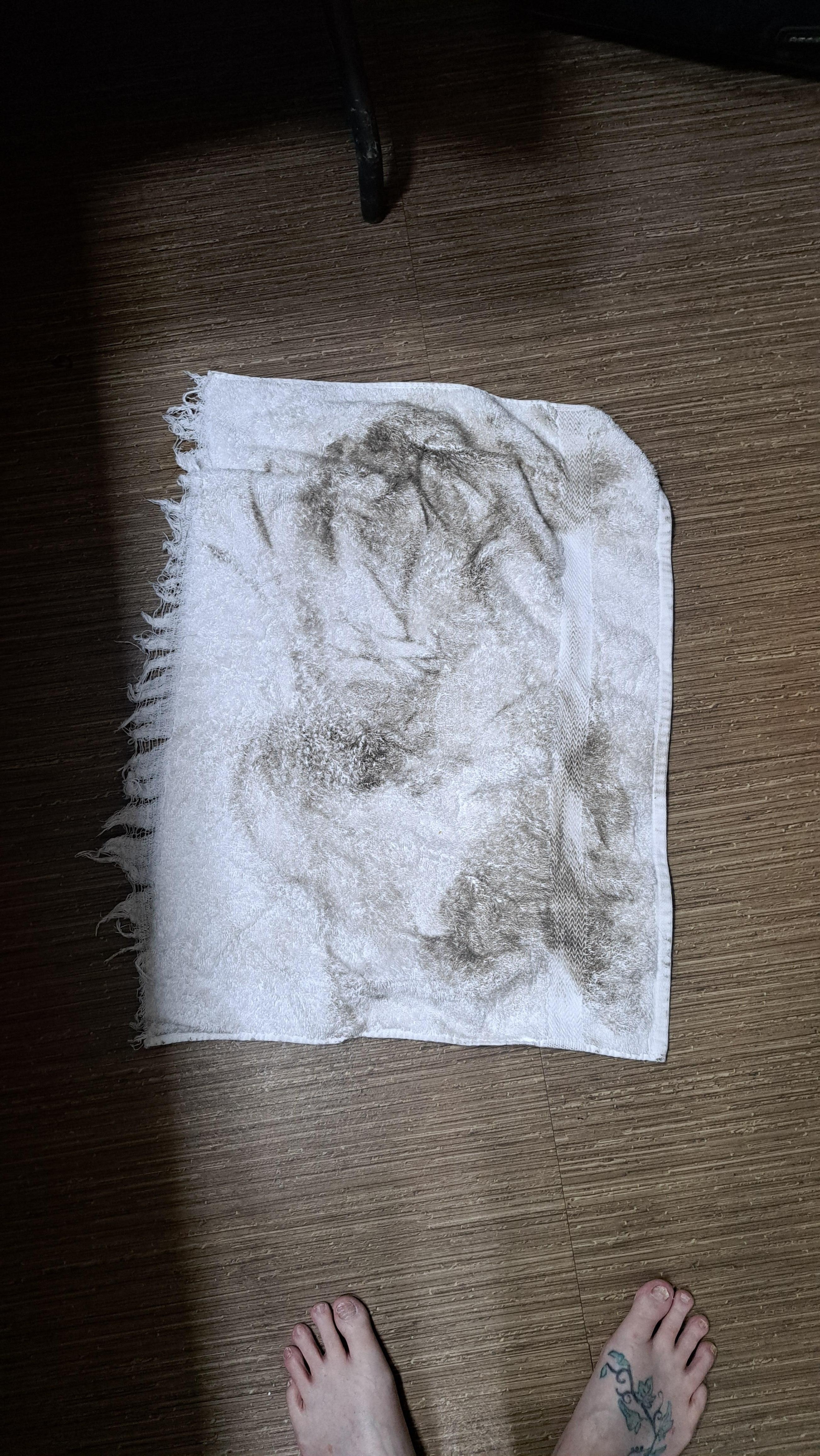 More proof of the dirty floor