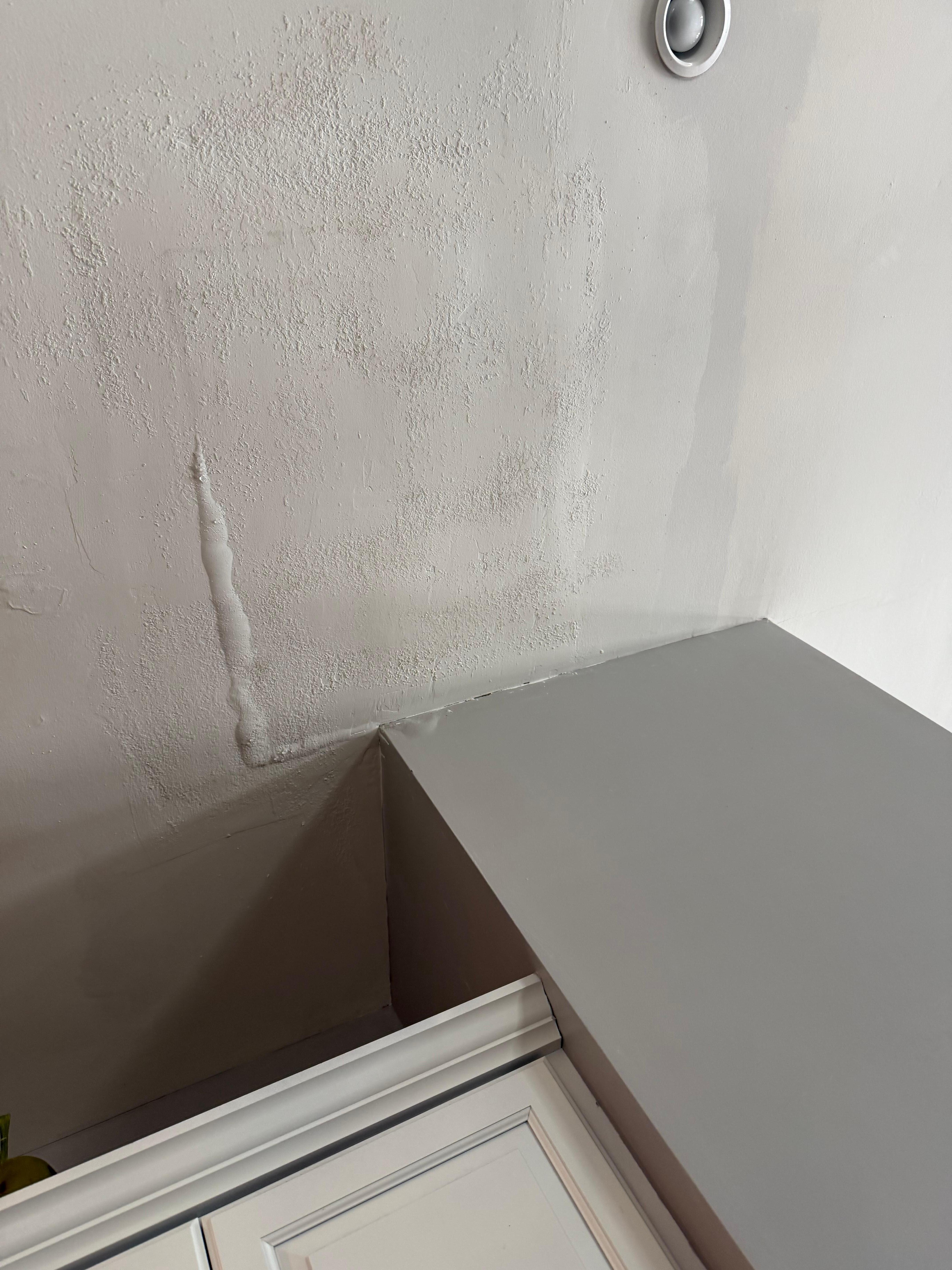 Leaking ceiling