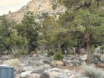 Wildlife right outside!