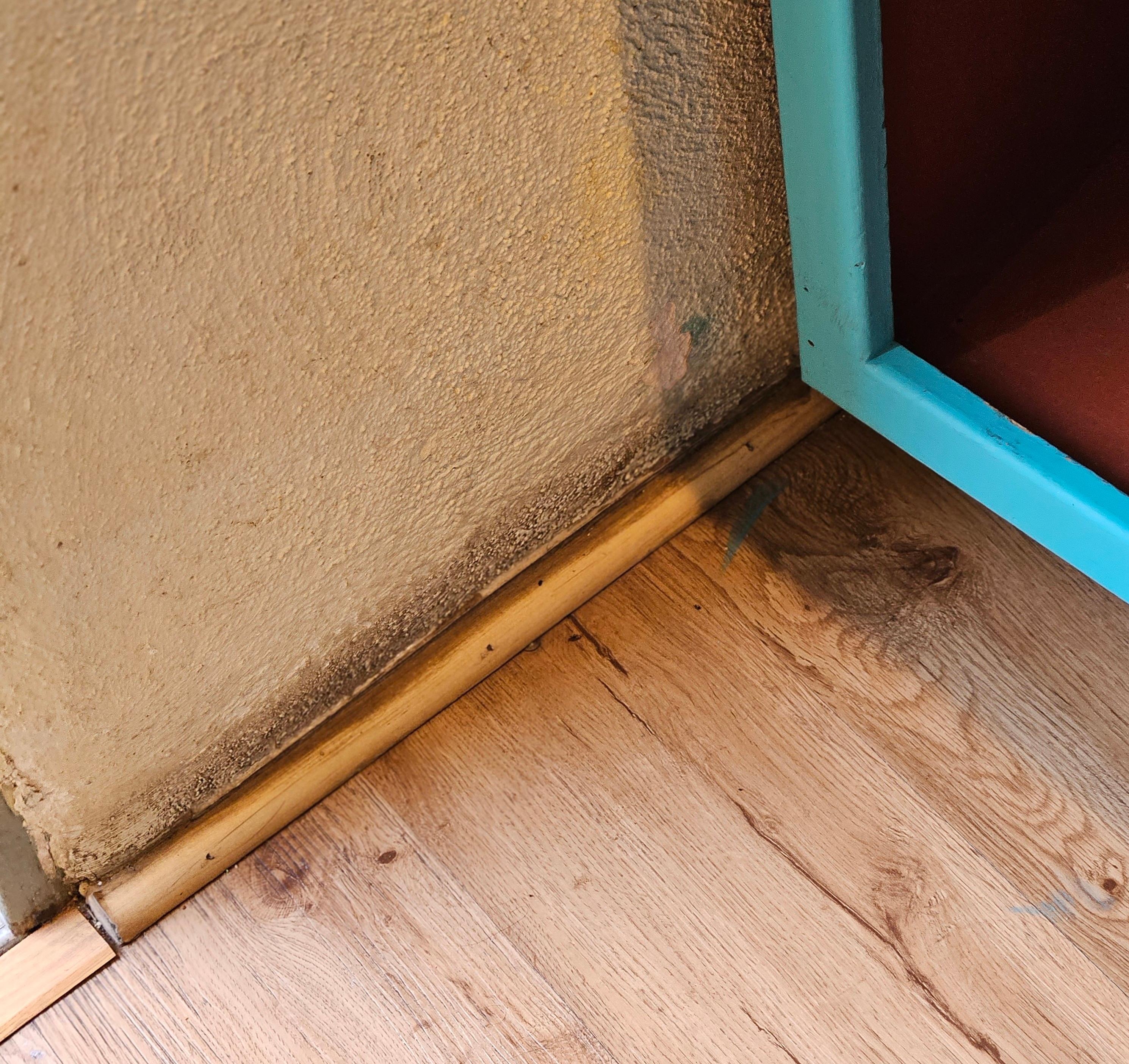 Entire room had black stain around entire room...guessing from.dirty mop..
But noticed same thing in breakfast room.