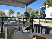 Breakfast with birds lol