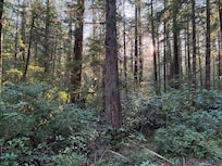 Nearby Ozette Trail