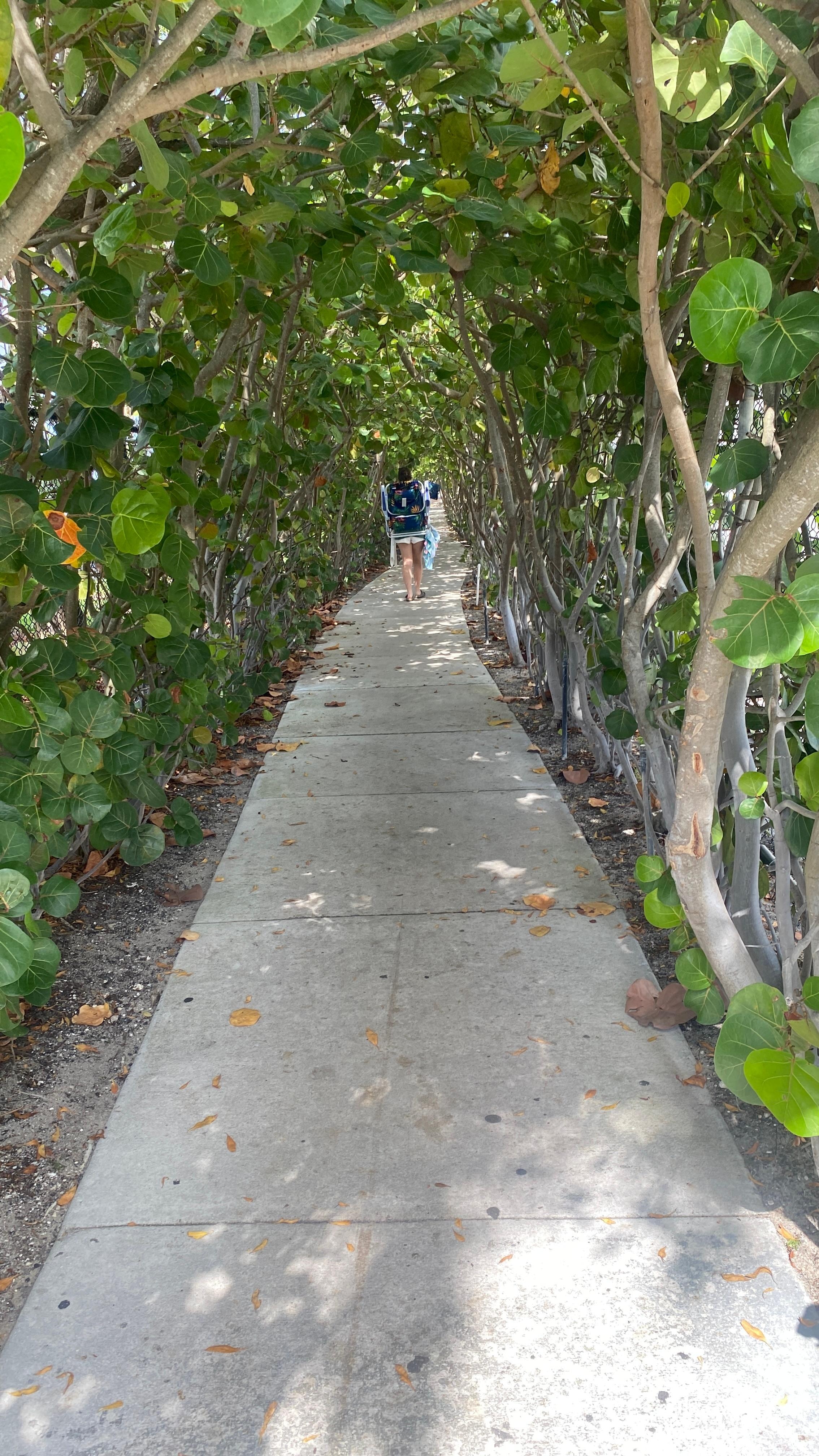 Walk to the beach 💕💕💕💕