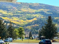 Fall colors