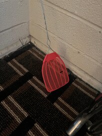 Well worn fly swatter! Yikes