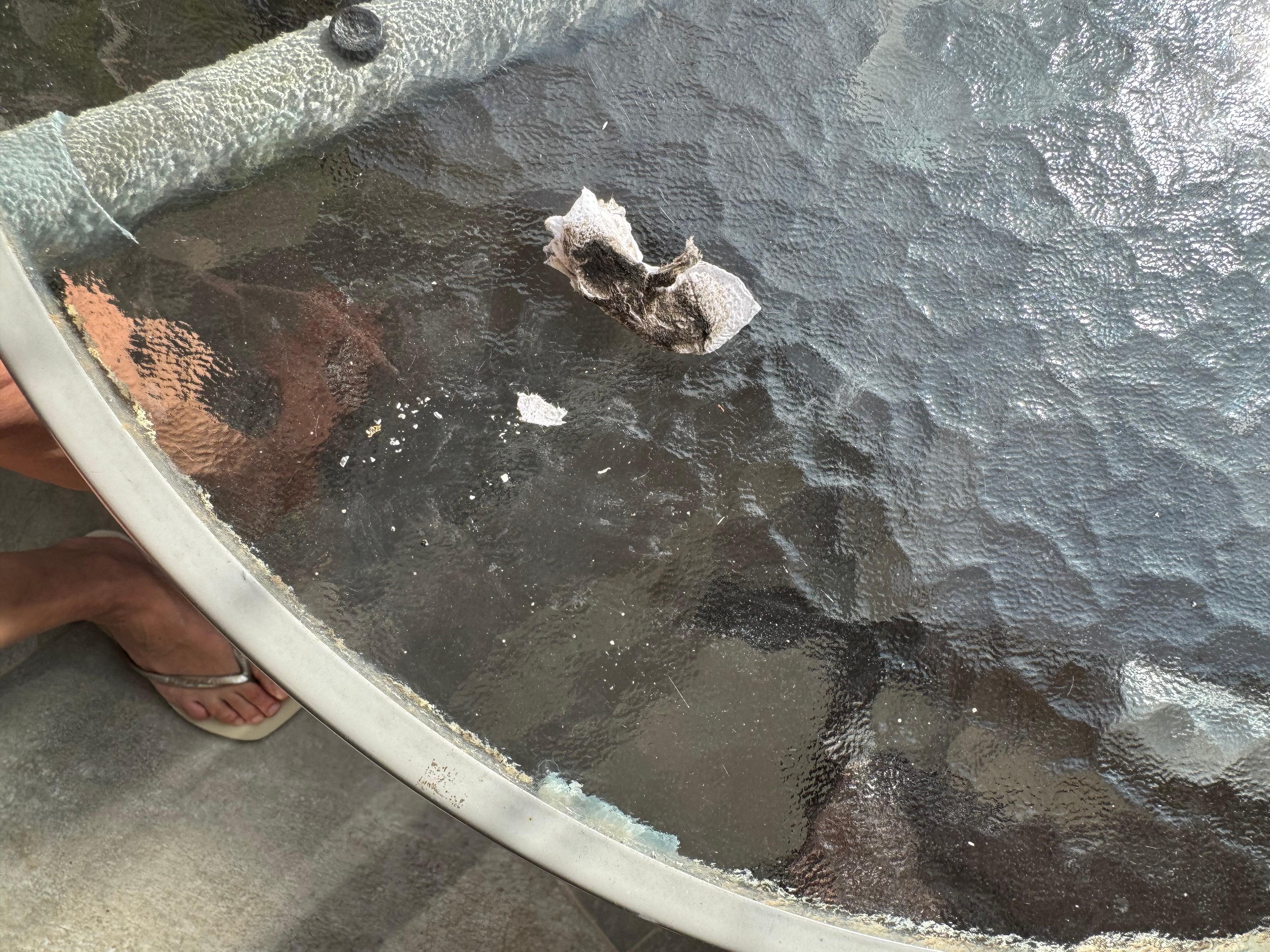 I cleaned a table myself. It was filthy 