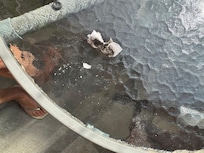 I cleaned a table myself. It was filthy