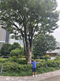 Big trees!