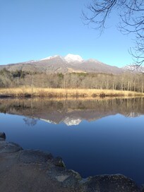 いもり池は歩いてすぐの距離