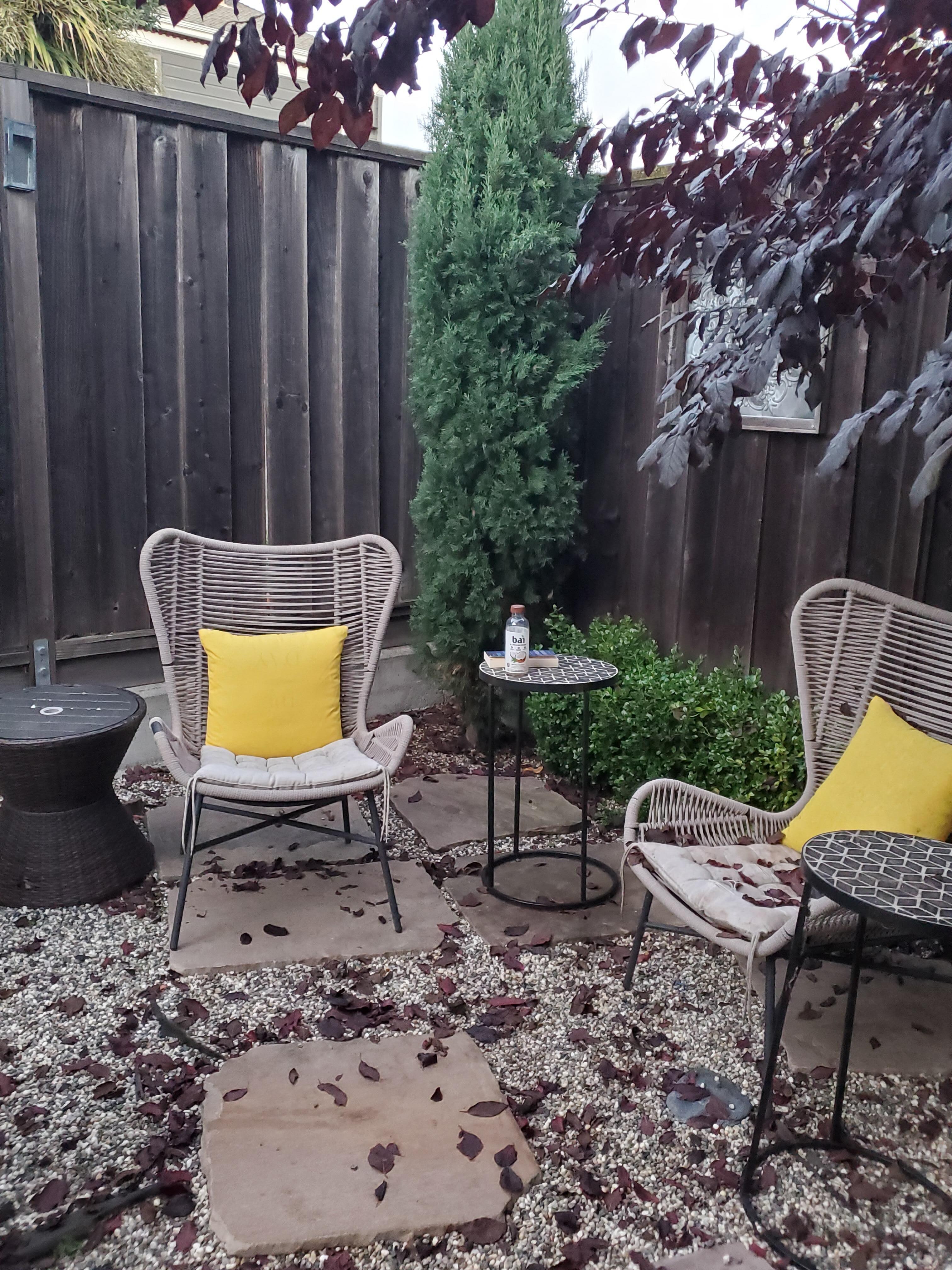 My chair in the garden.